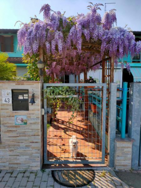B&B Villa Sartori